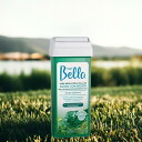 【GWセール★200円クーポン配布中】デピルベラ DEPIL BELLA ロールオンワックス アルギーとペパーミント 100g ALGAS COM MENTA ...
