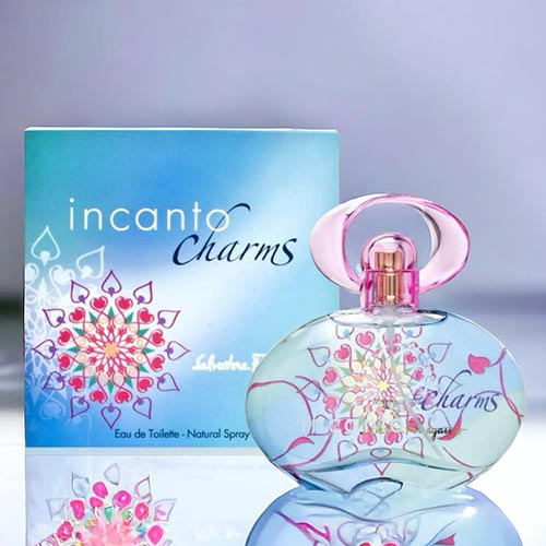 【楽天カードデー！ポイント最大10倍！】サルヴァトーレフェラガモ SALVATORE FERRAGA ...