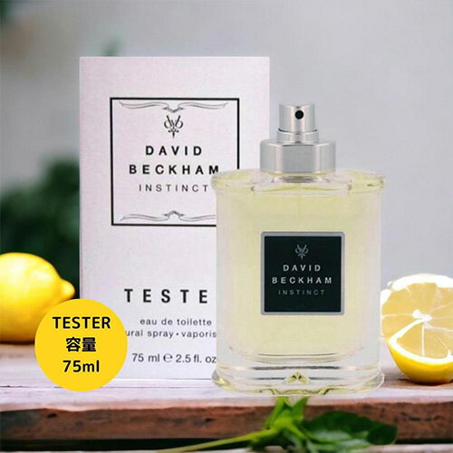 【楽天カードデー！ポイント最大10倍！】デヴィッド ベッカム DAVID BECKHAM インスティ ...