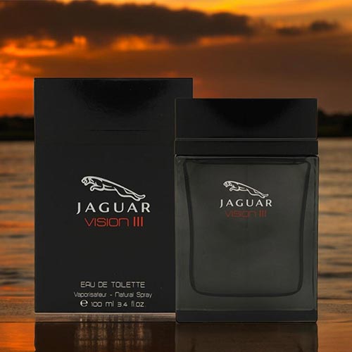 【当店マラソン!当店P最大13倍!】ジャガー JAGUAR ジャガー ヴィジョン 3 EDT 100ml JAGUAR VISION 3 香水 メンズ フレグランス ギフト プレゼント