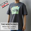 新品 ザ ノースフェイス ホワイトレーベル THE NORTH FACE WHITE LABEL MOVING BOX TEE Tシャツ GREY グレー メンズ レディース NT7UM14