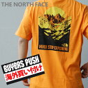 【本物 正規品】 【海外買付】【正規品】【並行輸入品】新品 ザ ノースフェイス THE NORTH FACE BACK NATURAL WONDERS TEE Tシャツ FLAME ORANGE オレンジ メンズ BUYERS PUSH