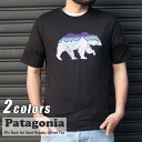 【本物 正規品】 新品 パタゴニア Patagonia M 039 s Back for Good Organic Cotton Tee バック フォー グッド オーガニック Tシャツ 38565 メンズ レディース アウトドア キャンプ