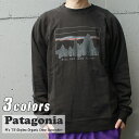 y{EKiz Vi p^SjA Patagonia M's '73 Skyline Organic Crew Sweatshirt '73 XJCC I[KjbN N[ XEFbgVc 39650 Y fB[X AEghA Lv