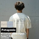 y{EKiz Vi p^SjA Patagonia M's Lost and Found Organic Pocket Tee Y Xg Ah t@Eh I[KjbN|Pbg TVc 37672 AEghA Lv R C T[tB nCLO Ro tFX V