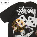 【本物・正規品】 新品 ステューシー STUSSY STRIKE PIG DYED TEE ピグメント ダイ Tシャツ メンズ 新作