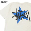 【本物・正規品】 新品 ステューシー STUSSY STUSSY STAR PIG DYED TEE ピグメント ダイ Tシャツ メンズ 新作