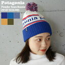 【本物・正規品】 新品 パタゴニア Patagonia Powder Town Beanie パウダー タウン ビーニー 29187 メンズ レディース アウト...