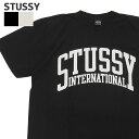 ステューシー ペアTシャツ 【本物・正規品】 新品 ステューシー STUSSY INTERNATIONAL PIG DYED TEE Tシャツ メンズ 新作 スケート ストリート エイトボール ストックロゴ ストゥーシー スチューシー