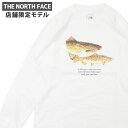 y{EKiz Vi UEm[XtFCX vC THE NORTH FACE PLAY X܌ L/S PLAY Flyfishing Tee TVc Y NT82102R