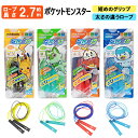 【3980円以上で送料無料】縄跳び なわとび ポケモン 小学生 子供用 キッズ ジュニア 子ども こども トレーニング ロープ 運動 運動会 体育 授業 クラブ スポーツ 男の子 女の子 かわいい かっこいい ピカチュウ ニャオハ ホゲータ クワッス キャラクター //宅配便発送のみ