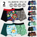 スーパーマリオ ドンキーコング ピクミン スプラトゥーン3 最強王図鑑 ボクサーパンツ ボクサーブリーフ キッズ パンツ 2枚 セット 100 110 120 ...