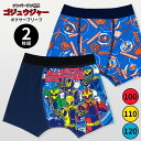 ナンバーワン戦隊ゴジュウジャー キッズ ボクサーパンツ 2枚組 100 110 120 ボクサーブリーフ 2枚 セット 男の子 男児 男子 子供 下着 インナー...