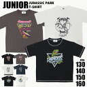 ジュラシックパーク Tシャツ 半袖 恐竜 キッズ 男の子 ジュニア 小学生 子供 こども 薄手 小学生 小学校 低学年 高学年 ブラック ダークグレー オフホワイト ネイビー 130 140 150 160 子供服 洋服 男子 ウエア トップス かっこいい おしゃれ 夏 黒 白 //メール便発送可