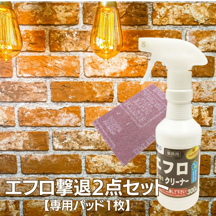 エフロ 撃退2点セット ( エフロクリーナー 300g1本＆専用パッド1枚） ビアンコジャパン エフロ除去剤 タイル レンガ …