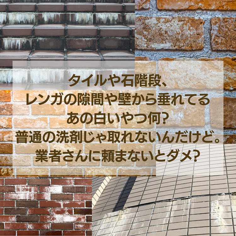エフロクリーナー 20kg（キュービテナー入り）ES-101 ビアンコジャパン【メーカー直送品】 業務用 エフロ除去剤 目地 白華 タイル ベランダ 外壁クリーナー 外壁タイル 壁タイル 大掃除