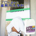 ステンクリーナー 1kg(ポリ容器入り)SS-101 ビアンコジャパン 業務用 ステンレスクリーナー 洗剤 ステン ステンレス 錆取り クリーナー サビ取り さ...