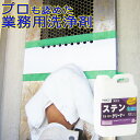 ステンクリーナー 2kg(ポリ容器入り)SS-101 ビアンコジャパン 業務用 ステンレスクリーナー 洗剤 ステン ステンレス 錆取り クリーナー サビ取り さ...