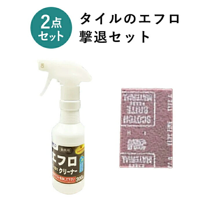 [SS期間中10%OFF] エフロ 撃退2点セット ( エフロクリーナー 300g＆専用パッド1枚） 送料無料 ビアンコジャパン タイル レンガ アク対策 目地 白華 ベランダ 外壁 クリーナー 外壁タイル 壁タイル 洗剤 大掃除