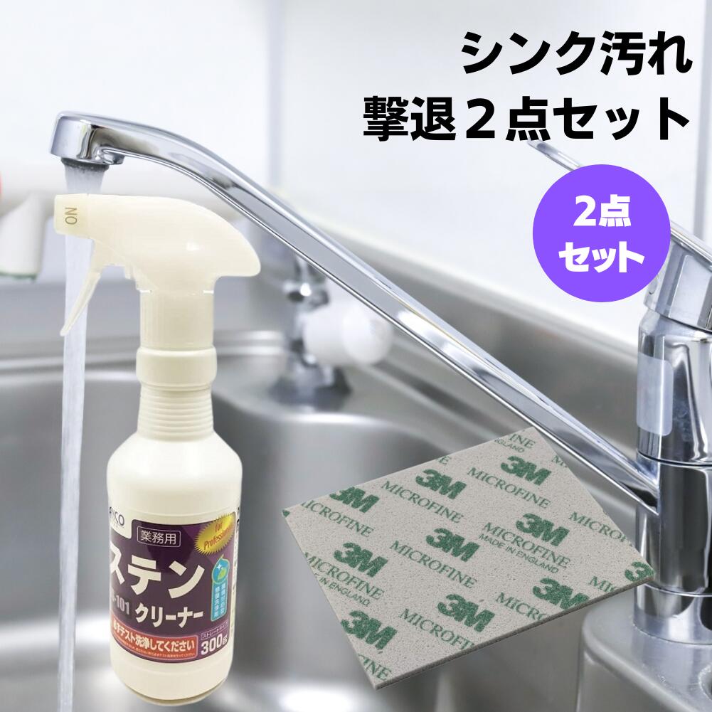 [4/30まで 10%offCP] キッチン シンク汚れ撃退2点セット (ステンクリーナー300g＆専用スポンジ研磨タイプ1枚） ビアンコジャパン 業務用 ステンレスクリーナー シンク 洗剤 ステン ステンレス 錆取り クリーナー サビ取り 錆び取り サビ取り剤