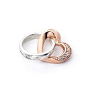 【12/4 20:00-12/11 1:59限定SALE】ネックレスチャーム レディース ダイヤモンド シルバー ハート 【 BLOOM ブルーム 】 クリスマ...