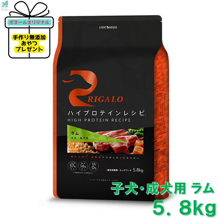 y Y tz K qp  5.8kg nCveCVs RIGALO rigalohbNt[h  OCt[ sgp Ö@H ᎉb veC Y St[h ShbNt[h ^pN ybgt[h veC v~At[h