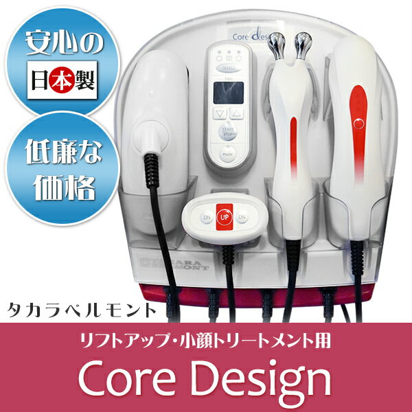 日本製 エステ業務用 美顔器 Core Des...の紹介画像2