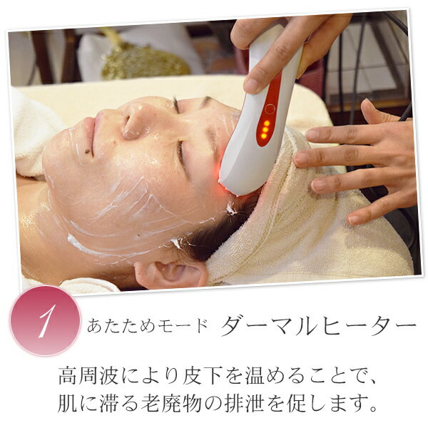 日本製 エステ業務用 美顔器 Core Des...の紹介画像3