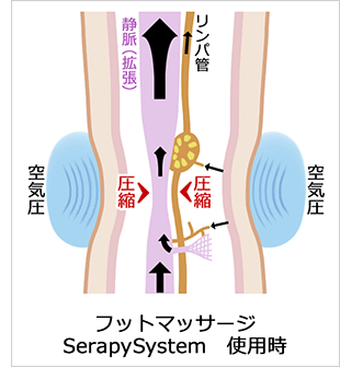 フットマッサージ SerapySystem 業務用 エアマッサージ器 / T001