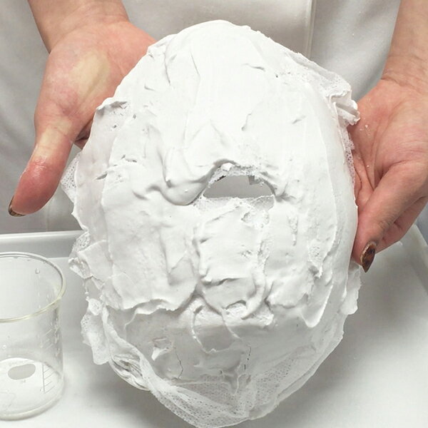 お試し1袋250g エステ業務用 石膏パック「Hard Mask」1回分 エステ業務用 ハードマスク ホット クレイマスク 即日発送