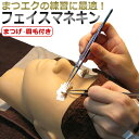 【まつげエクステ 練習用フェイスマネキン】まつげ・まゆげ付/ T001 / 【まつげエクステ 練習用フェイスマネキン】まつげ・まゆげ付/ T001 /