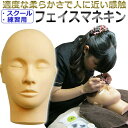 ラッシュドール【まつげエクステ 練習用 フェイスマネキン】/ T001 / ラッシュドール【まつげエクステ 練習用 フェイスマネキン】/ T001 /