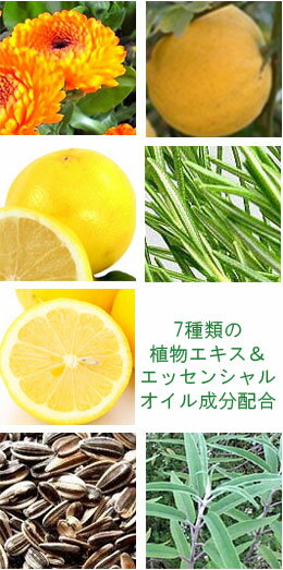 NEW ���֥������ࡼ�����ץ饹�����å��� 40ml �ݼ��Ⱦ�����2in1���Ʊ� / �ѥ�٥�ե꡼��̵�忧��̵�������� / ABCO Smooth Plus Essence 40ml Paraben-free / formulated with 7 kinds of botanic extract and essential oil ��RCP�ۡ�10P17Apr01��