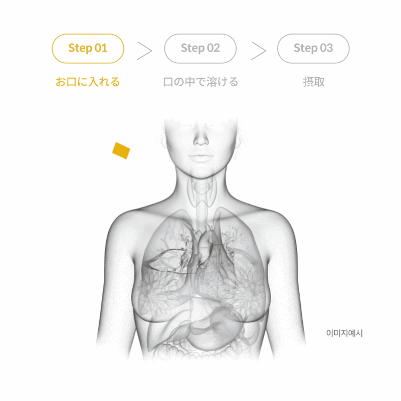 【限定クーポン30%OFF!スーパーセール対象】[今なら1個買えば1個プレゼント]【吸収...