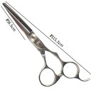 BEL scissors コブ有りオフセットハンドル 業務用シザー BSD-01 5.5インチ 片剣刃 ブラントカット用 パワータイプ 業務用 美容シザー 理美...