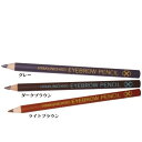 【2本セット】百日草 アイブローペンシル×2本 グレー/ダークブラウン/ライトブラウン アイブロウペンシル 眉毛 鉛筆 ペンシル 眉ペンシル 眉鉛筆 細かいライン 描きやすい ロングセラー HYAKUNICHISO EYEBROW PENCIL サロン専売品 正規品 送料無料【ネコポス/ポスト投函】