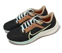 NIKE AIR ZOOM PEGASUS 40 ナイキ メンズランニングシューズ BLACK 23-10-S#70