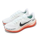 NIKE AIR ZOOM PEGASUS 41 EKナイキ メンズランニングシューズ 24-12-S#70