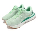 NIKE WMNS REACT INFINITY RUN FK 3iCL fB[XjOV[YGREEN 22-09-S#70