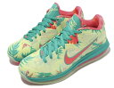 NIKE LEBRON IX LOW ナイキ メンズ バスケットボール シューズLEBRONOLD PALMER 22-05-K#100