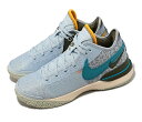 NIKE ZOOM LEBRON NXXT GEN EPiCL Y oXPbg{[ V[YBLUE 23-10-S#80