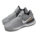 NIKE ZOOM LEBRON NXXT GEN EPナイキ メンズ バスケットボール シューズGREY 23-10-S 80