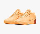 NIKE LEBRON XXI EP ナイキ メンズ バスケットボール シューズ 23-11-S#100