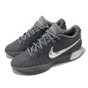 NIKE LEBRON XXI EP ナイキ メンズ バスケットボール シューズ GREY 24-05-S#100