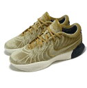 NIKE LEBRON XXI QS EP ナイキ メンズ バスケットボール シューズ 24-07-S#100