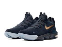 NIKE LEBRON XVI LOW EPiCL u XVI [ EP 16 Y oXPbg{[ V[YyTITAN AGIMATzy^C^z OBSIDIAN/METALLICGOLD