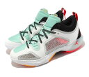 NIKE AIR JORDAN XXXVII LOW GUO PF ナイキ メンズ バスケットボール シューズ WHITE SILVER 23-05-S#100