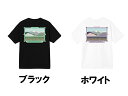 ステューシー ペアTシャツ ステューシー STUSSY メンズ トップス Tシャツ【PALM SPRINGS TEE】【パーム スプリングス】