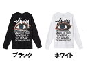 ステューシー Tシャツ メンズ ステューシー STUSSY メンズ トップス ロング Tシャツ【STUSSY OCULAR LS TEE】【アキュラ ロングスリーブ】