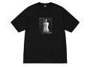 ステューシー ペアTシャツ ステューシー STUSSY メンズ トップス Tシャツ【STUSSY LE VIOLON PIG.DYED TEE】【バイオリン ピグメント ダイ】